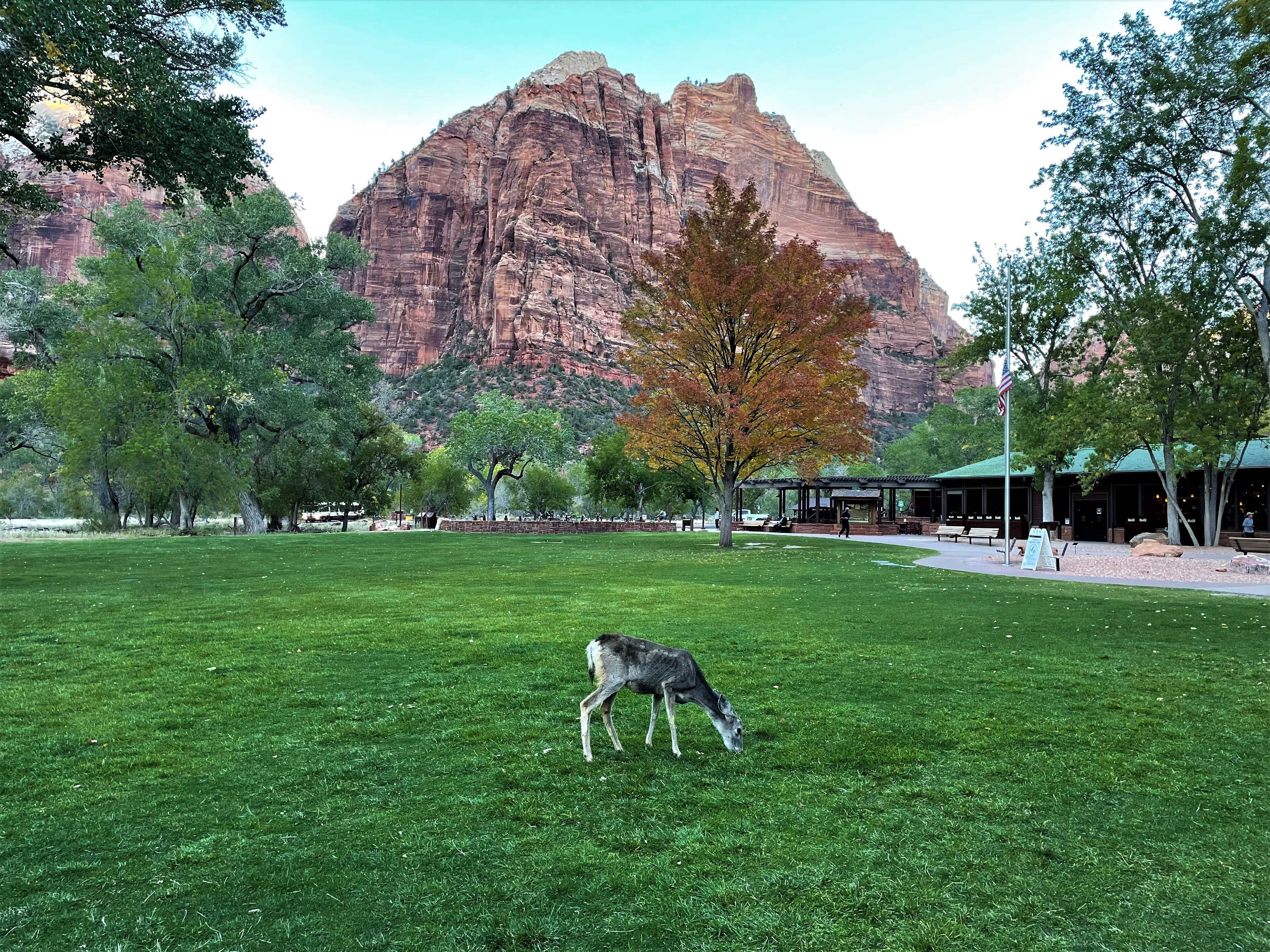 Zion NP